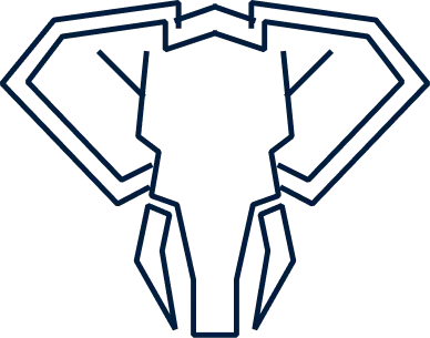 elephant bleu (1)